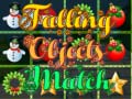 თამაშის Falling Objects Match 