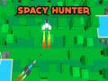 თამაშის Spacy Hunter