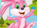 თამაშის Bunny Run