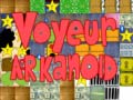 თამაშის Voyeur arkanoid