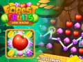 თამაშის Fruit Link Mania