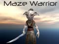 თამაშის Maze Warrior