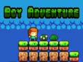 თამაშის Boy Adventure