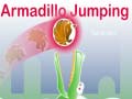 თამაშის Armadillo Jumping