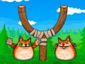 თამაშის Shot The Angry Cat