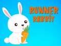 თამაშის Runner Rabbit