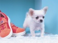 თამაშის Lovely Puppy Puzzle