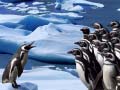 თამაშის Penguins Slide