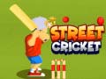 თამაშის Street Cricket