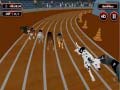 თამაშის Crazyl Dog Racing Fever