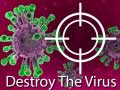 თამაშის Destroy The Virus