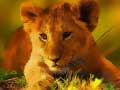 თამაშის Wild Baby Animals Jigsaw