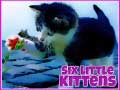 თამაშის Six Little Kittens