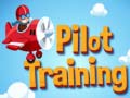 თამაშის Pilot Training