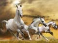 თამაშის Running Horse Slide