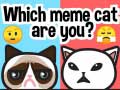 თამაშის Which Meme Cat Are You?