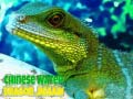 თამაშის Chinese Water Dragon Jigsaw