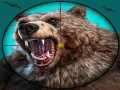 თამაშის Wild Bear Hunting