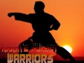 თამაშის Karate Sunset Warriors