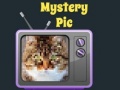 თამაშის Mystery Pic