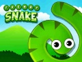 თამაშის Frenzy Snake