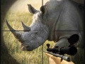 თამაშის Wild Rhino Hunter