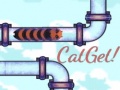თამაშის CatGet!