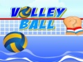 თამაშის Volley ball