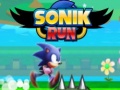 თამაშის Sonik Run