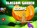 თამაშის Blossom Garden Escape