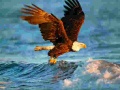 თამაშის Animals Jigsaw Puzzle Eagle
