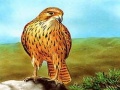 თამაშის Birds of Prey Slide