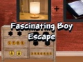 თამაშის Fascinating Boy Escape