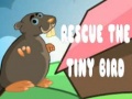 თამაშის Rescue The Tiny Bird