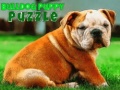 თამაშის Bulldog Puppy Puzzle