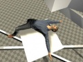 თამაშის Ragdoll Test