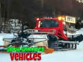 თამაშის Snow Groomer Vehicles