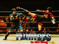 თამაშის Fighters in the Ring