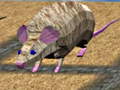 თამაშის Mouse Race Islands