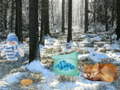 თამაშის Winter Wonderland Forest Adventure