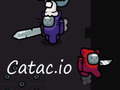თამაშის Catac.io