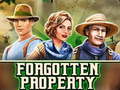 თამაშის Forgotten Property