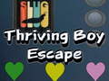 თამაშის Thriving Boy Escape