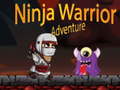თამაშის Ninja Warrior Adventure