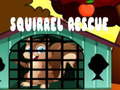 თამაშის Squirrel Rescue