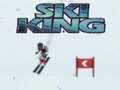 თამაშის Ski King