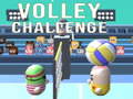თამაშის Volley Challenge