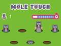 თამაშის Pole Touch