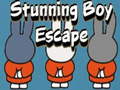 თამაშის Stunning Boy Escape