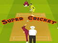 თამაშის Super Cricket 